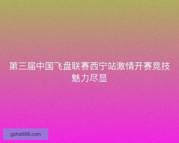 第三届中国飞盘联赛西宁站激情开赛竞技魅力尽显